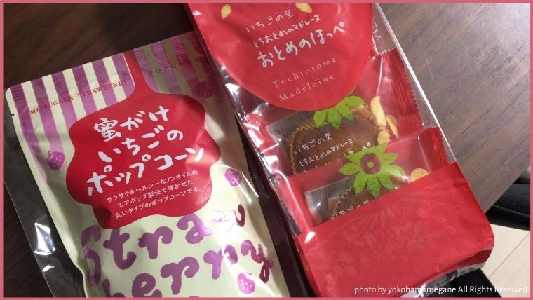 いちごの里が作った、栃木県で有名なとちおとめを使ったお菓子