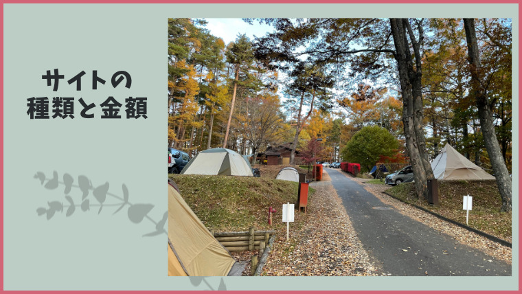 松本市美鈴湖もりの国オートキャンプ場、サイトの種類と金額